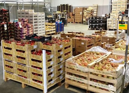 Distribuzione alimentare