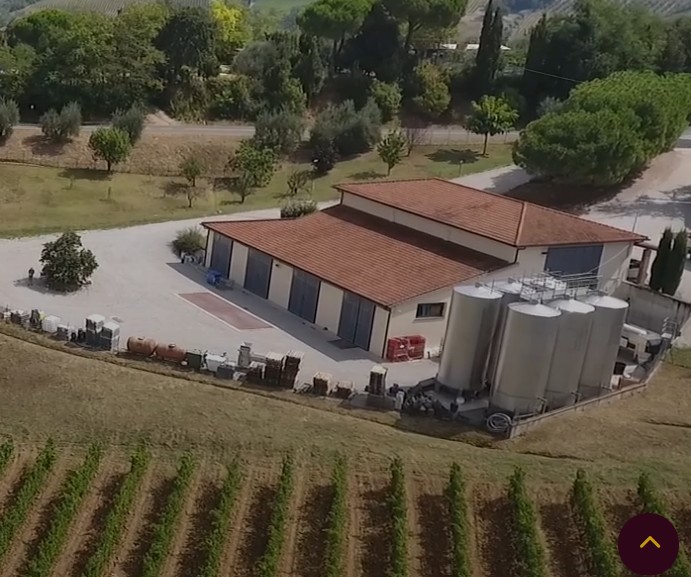 Vini rossi toscani pregiati