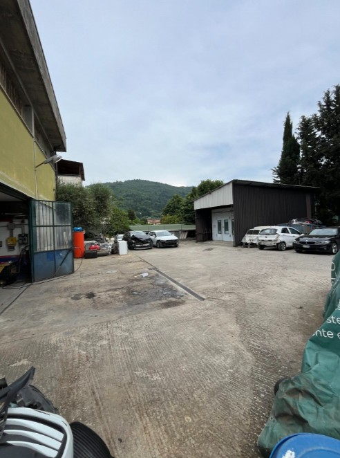 Carrozzeria Pelago